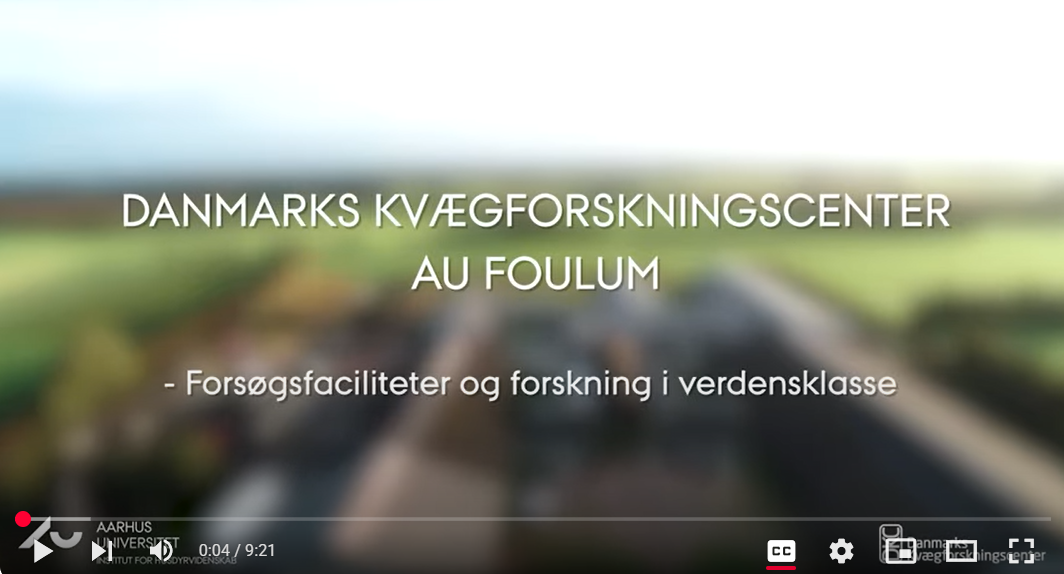 Watch video on YouTube
