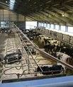 [Translate to English:] AU forskere deltager i et nyt projekt, som skal udvikle en praksis-anvendelig metode til at indsamle foderdata på den enkelte ko ude i kvægbesætningerne. Arkivfoto: Danmarks Kvægforskningscenter.